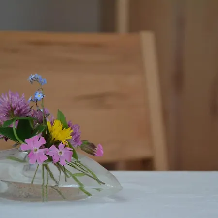 Bed and breakfast Schistube Steiner 3*