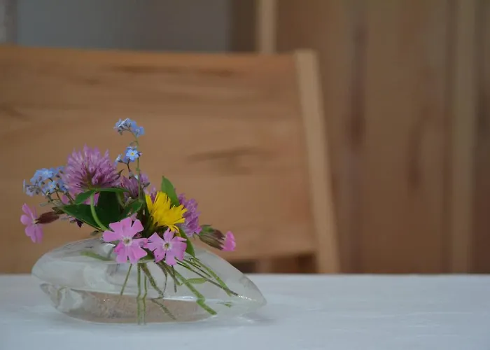 Nocleg ze śniadaniem Schistube Steiner 3*