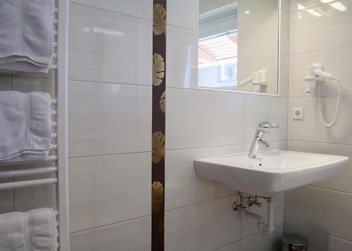 Schistube Steiner Ramsau am Dachstein